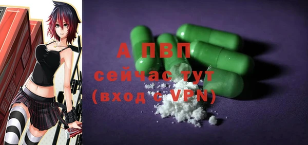 стаф Богородицк
