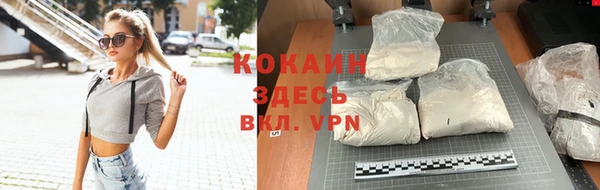 стаф Богородицк