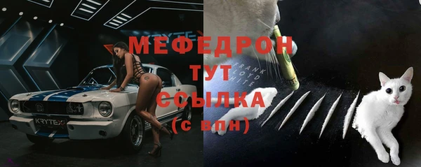 стаф Богородицк