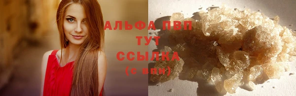 PSILOCYBIN Богородск