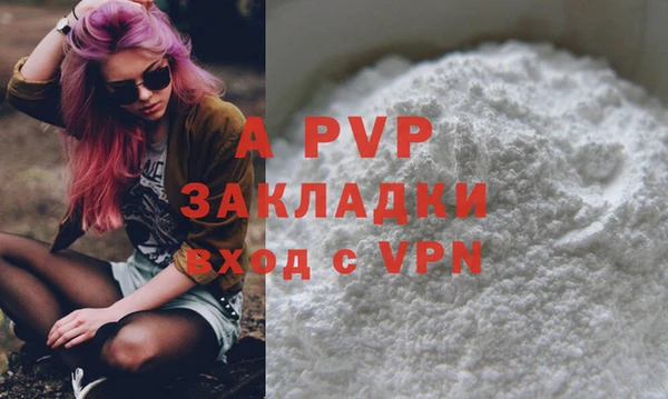 стаф Богородицк