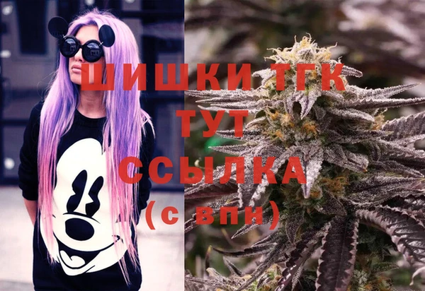 PSILOCYBIN Богородск