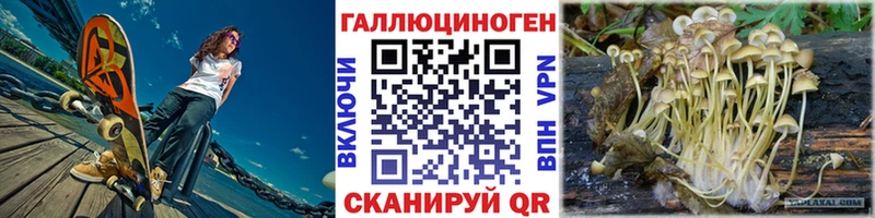 OMG онион  Бодайбо  Псилоцибиновые грибы прущие грибы 